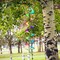 In the Breeze 5185 — 48" Jewel Curlie, Yellow, Green, Fuschia, Pink